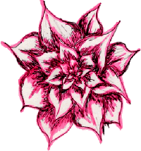 Drawing of flower.