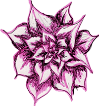 Drawing of flower.