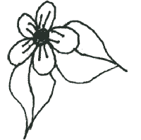 Drawing of flower.