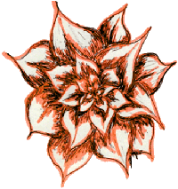 A flower.