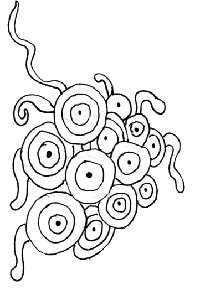 Small abstract swirl graphic.