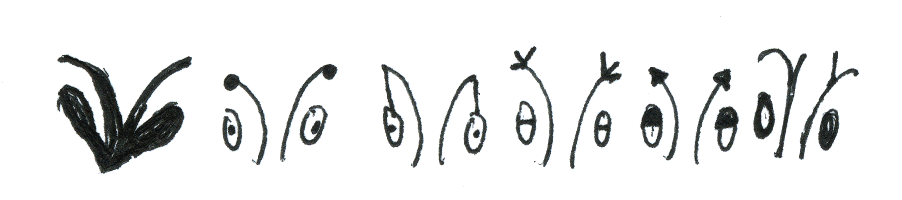 drawing